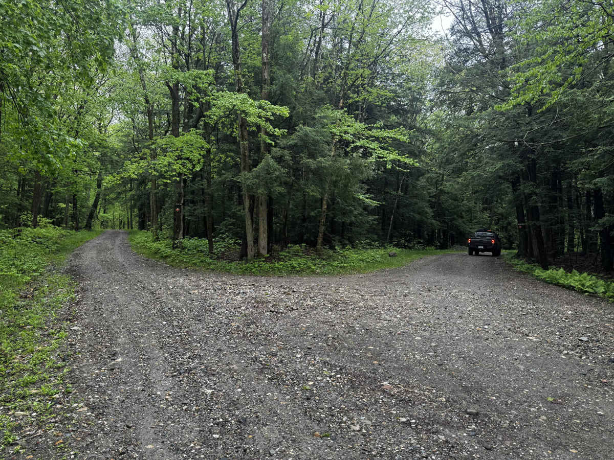 Mount Wilcox Road photo 4