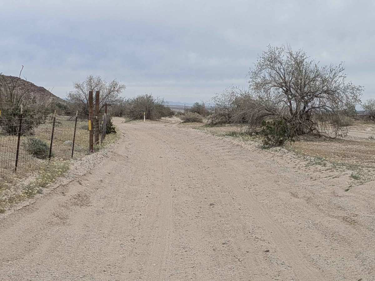 Quarry Road photo 3