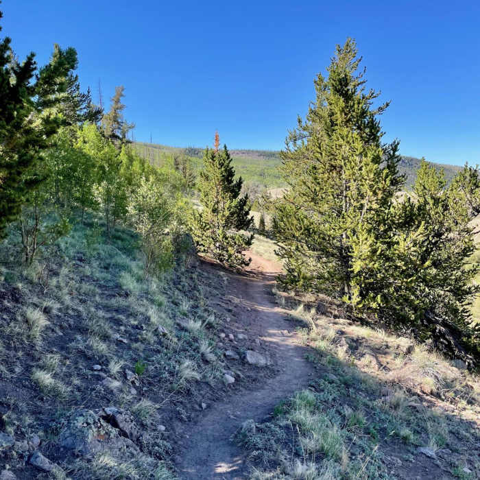 Near Colorado Trail Segment 19