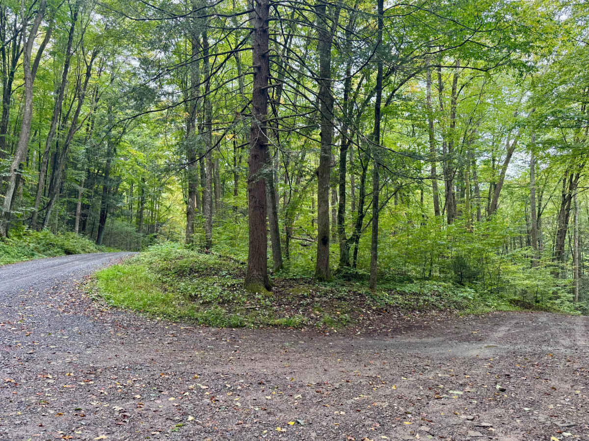 Mix Run Road photo 2
