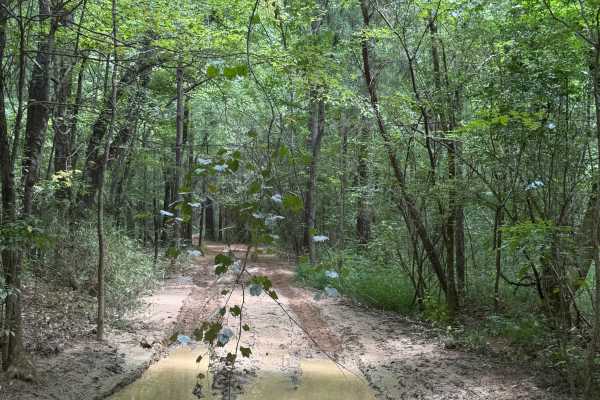 401C Mud