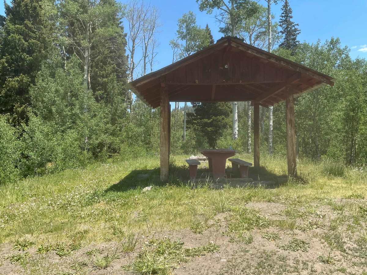 Buckhorn Lakes Park (Buckhorn Rd) photo 6