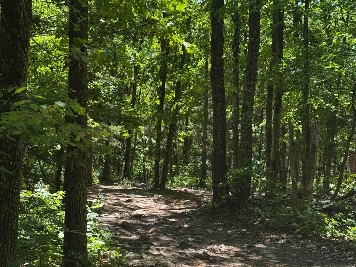 Inner Trail 42 trail photo