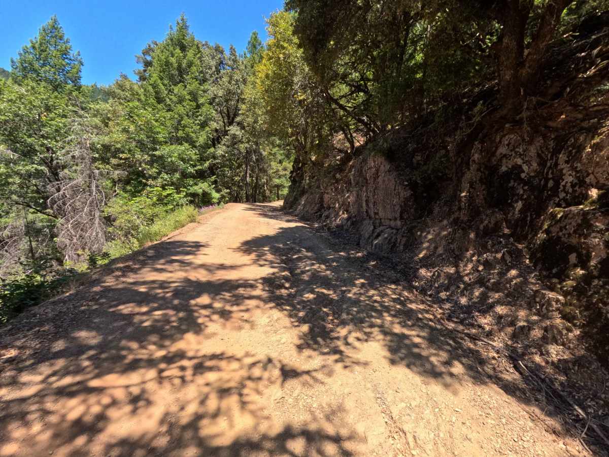 Saddleback Road - CR 509 photo 4