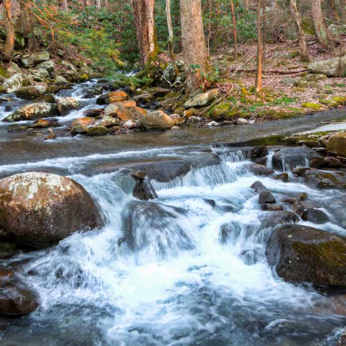Near Old Sugarlands Trail