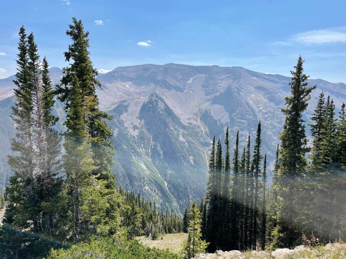 Sheep Mountain photo 6