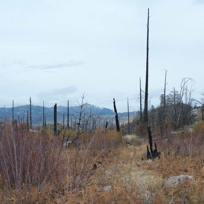 Near Lookout Point Trail