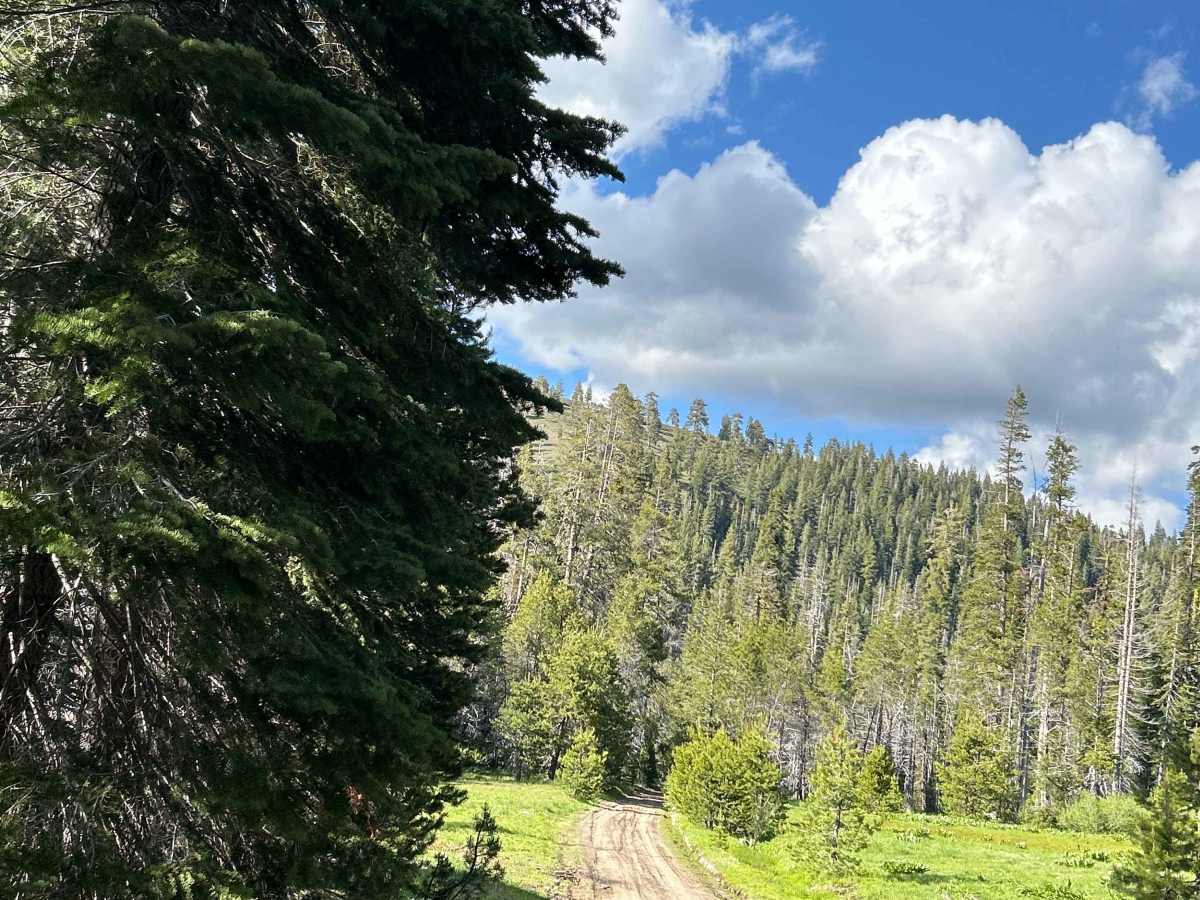 Soda Springs Road photo 5