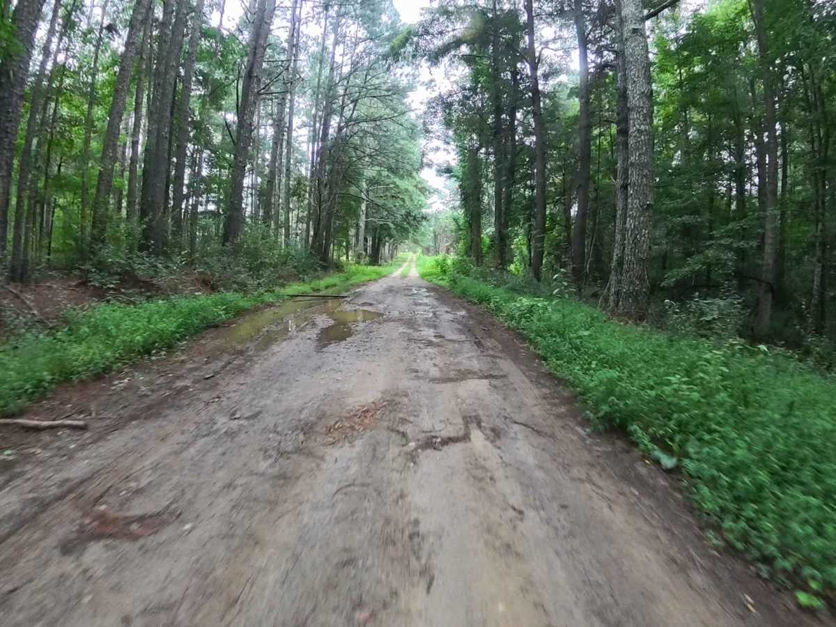 Dan Gun - FS 1016 trail photo