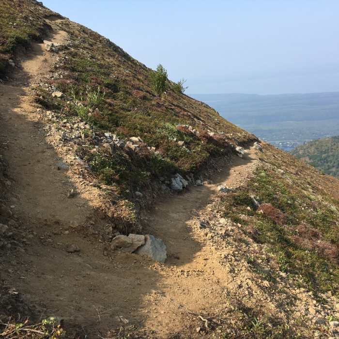 Near Baldy-Blacktail Hike
