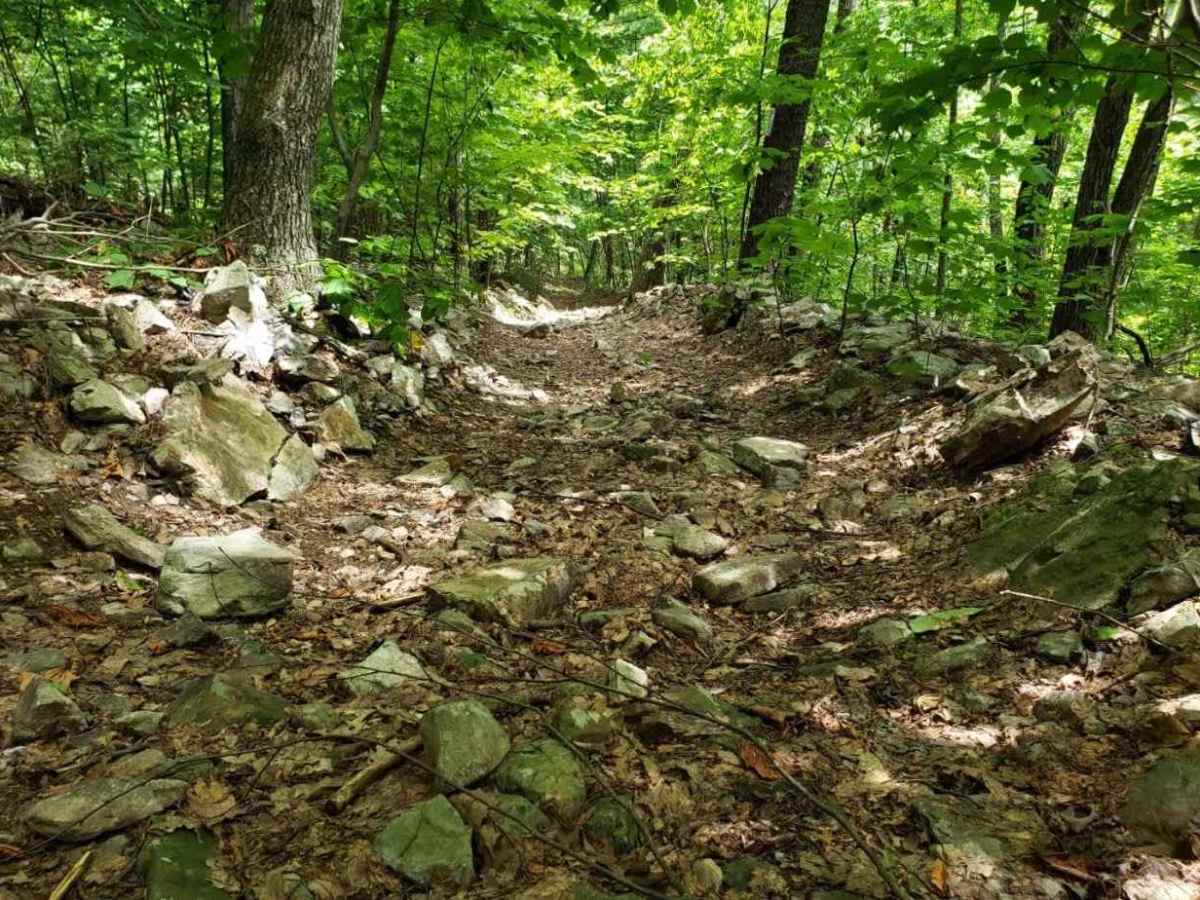 High Top Trail Blue photo 3