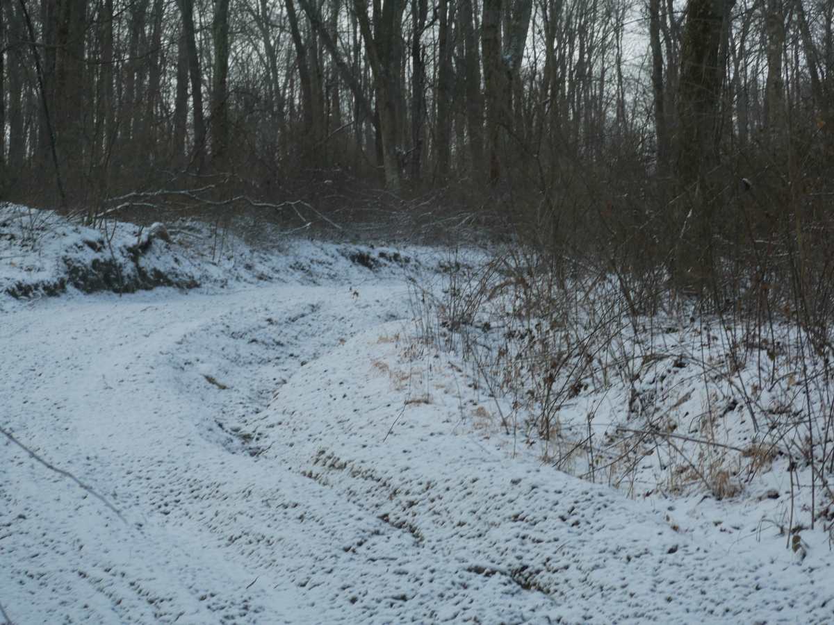 Trail 21 photo 2