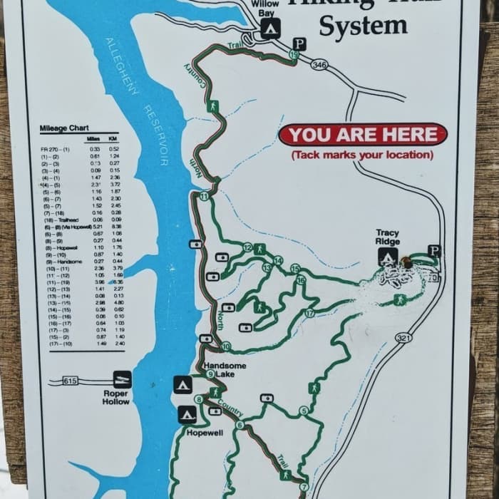 Near Tracy Ridge Trail - Outer Loop