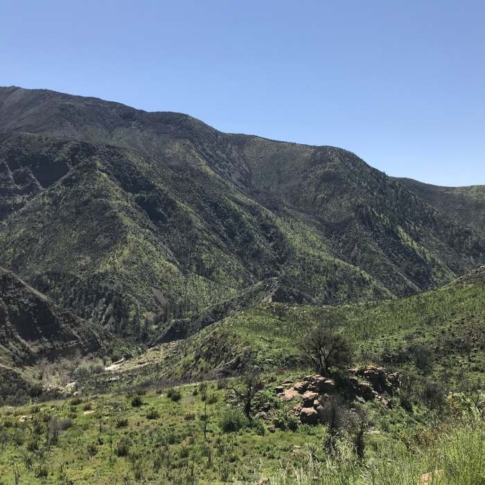 So green Near Last Chance Trail