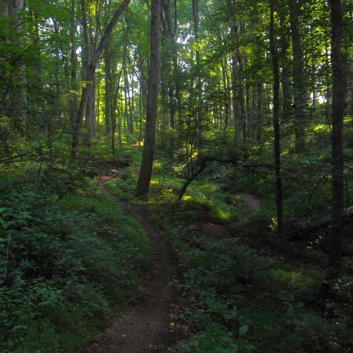 Near Seneca Creek Greenway Trail