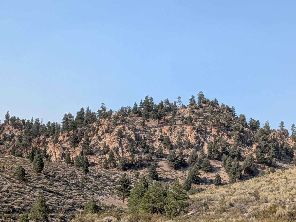 FS 4S121 trail photo