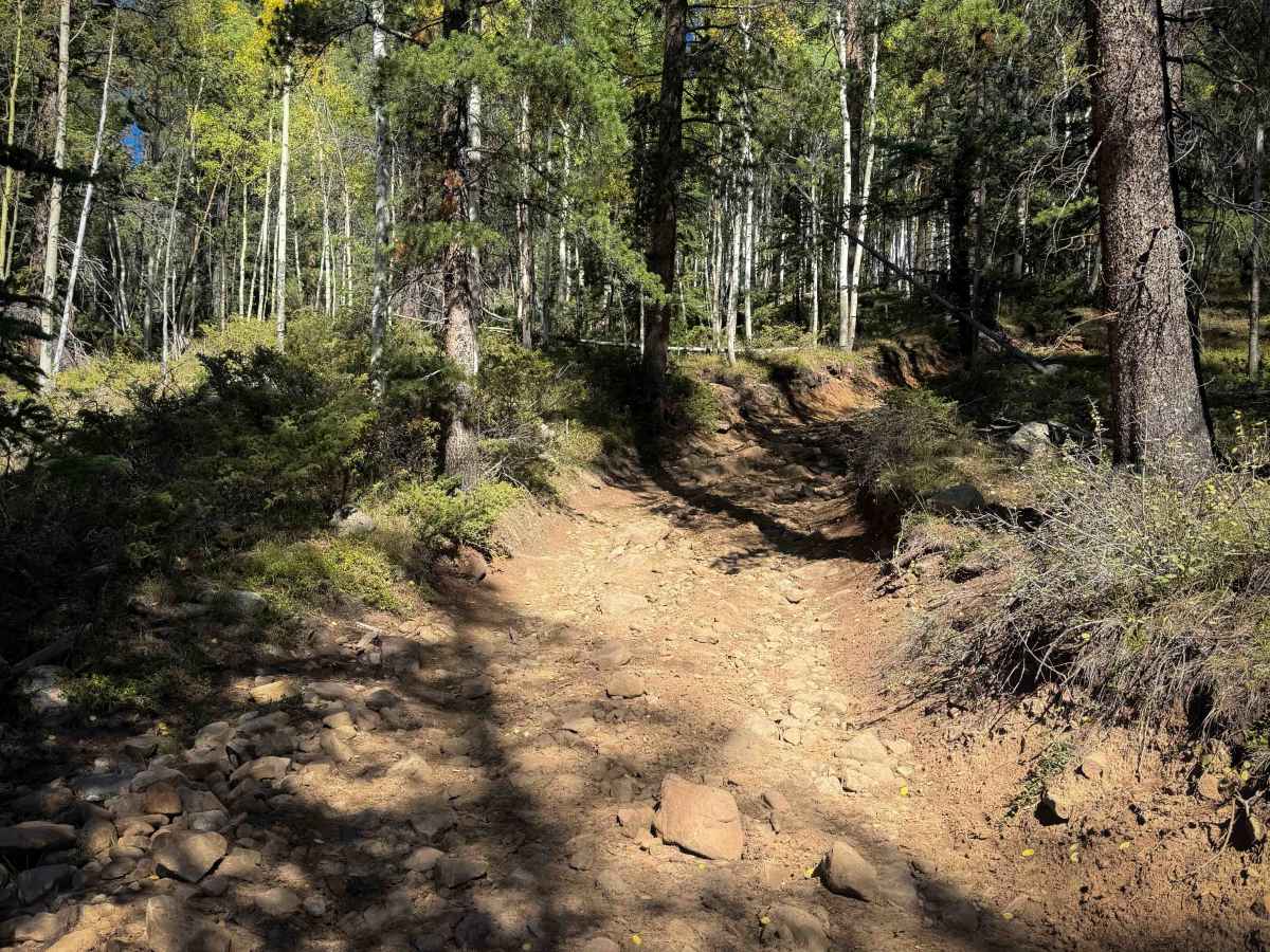 Powderhouse Trail - FS 647  photo 3