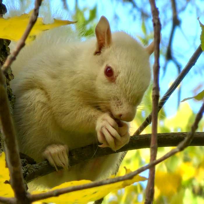 Near Lone Lake to Bryant Lake