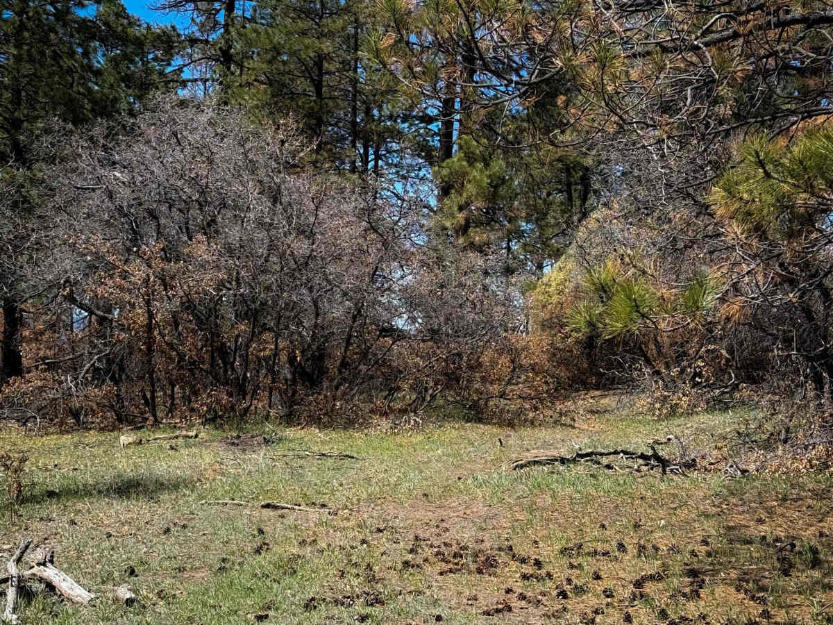 704A trail photo