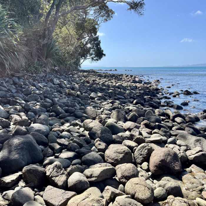 Near New Chums Beach Trail Near New Chums Beach Trail