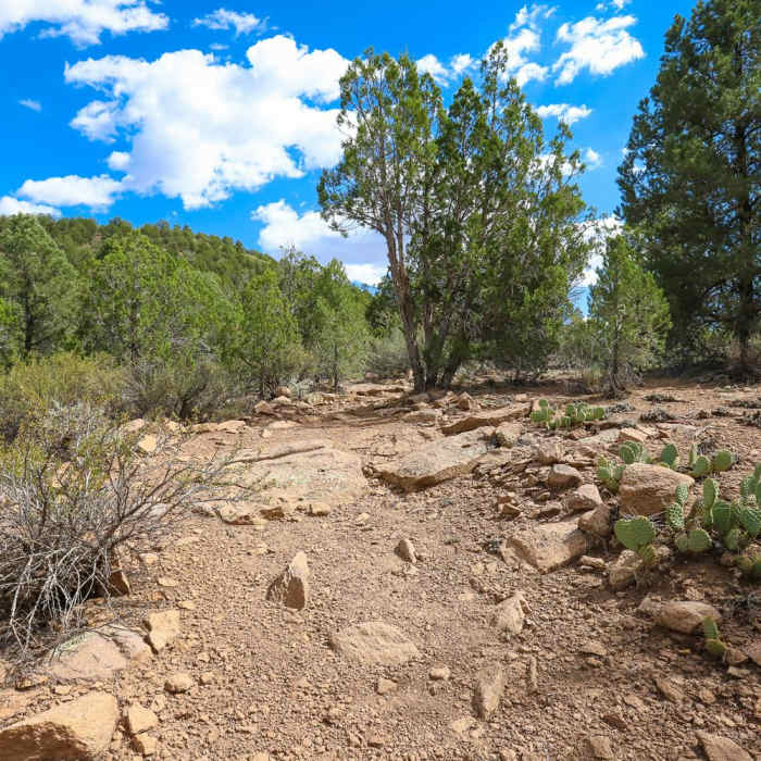 Near Beaver Dam State Park Interpretive Trail