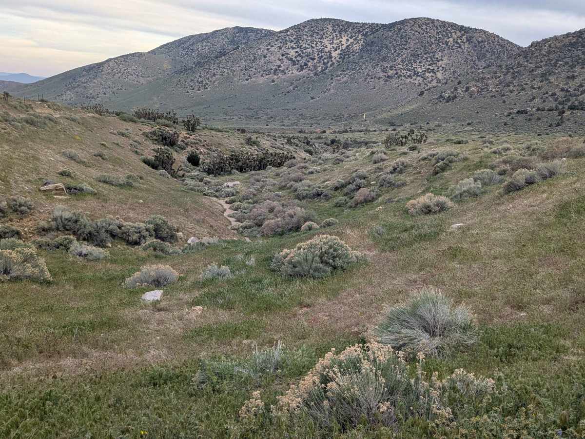 Horse Mountain - FS 27S11 photo 4