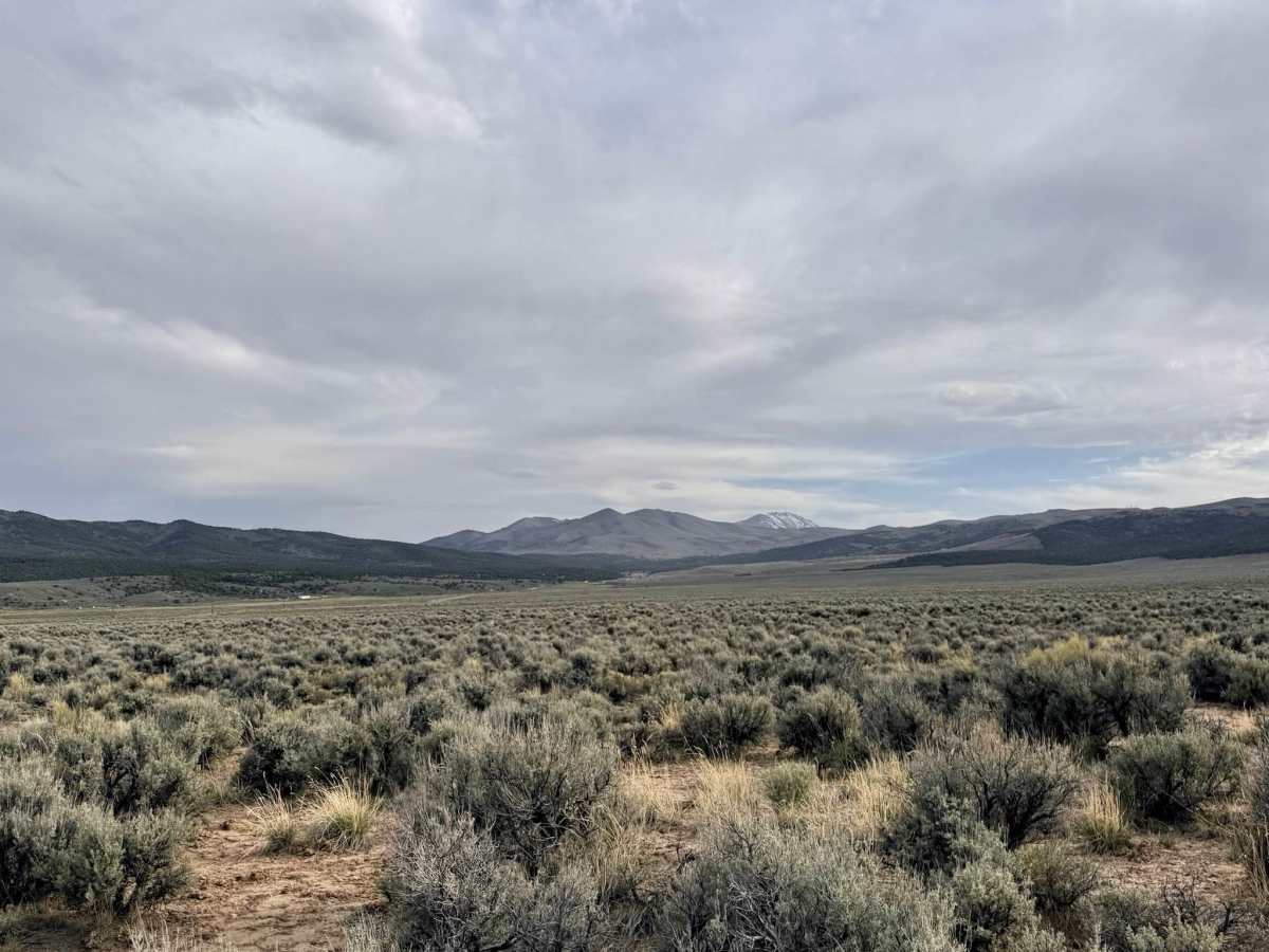 Emigrant Canyon - FS 43222 photo 3
