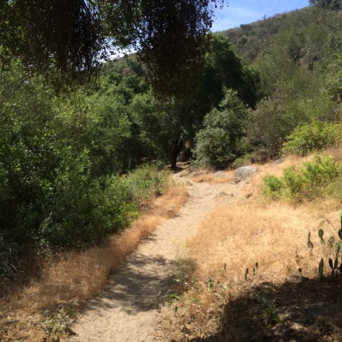 Near Santa Margarita River Trail