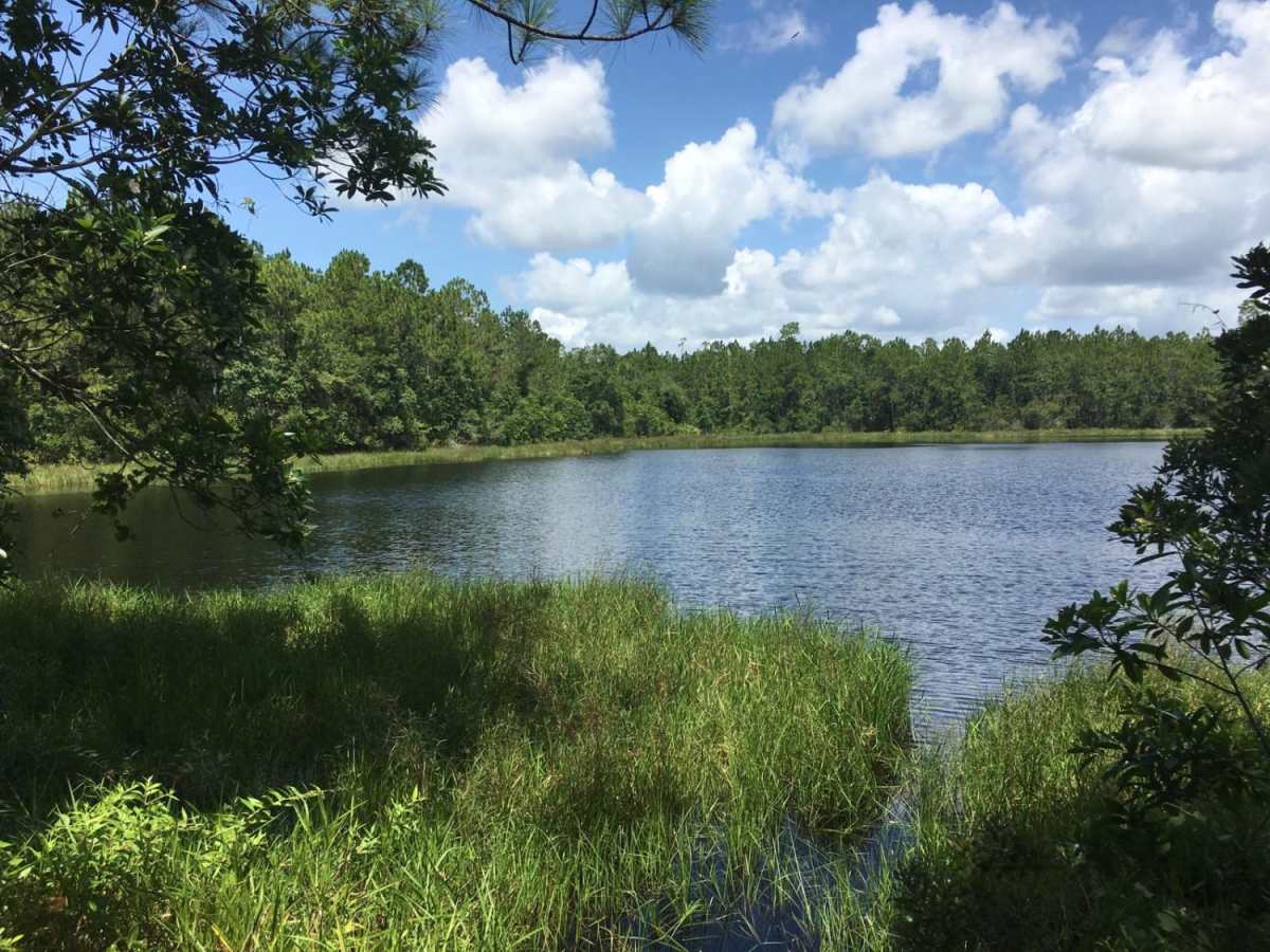 Dukes Island Road trail photo