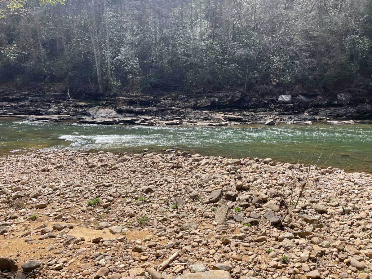 Meadow/Gauley Access Trail photo 5