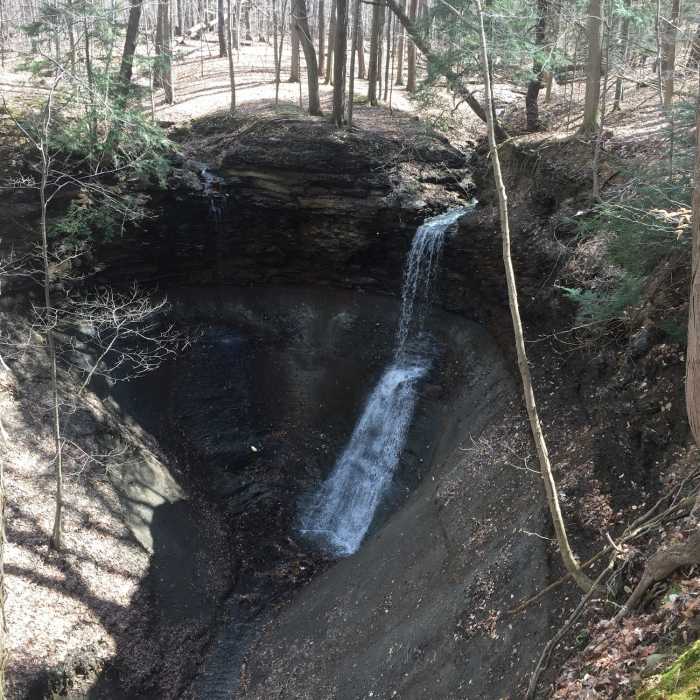 Near Sagamore Creek Loop Trail
