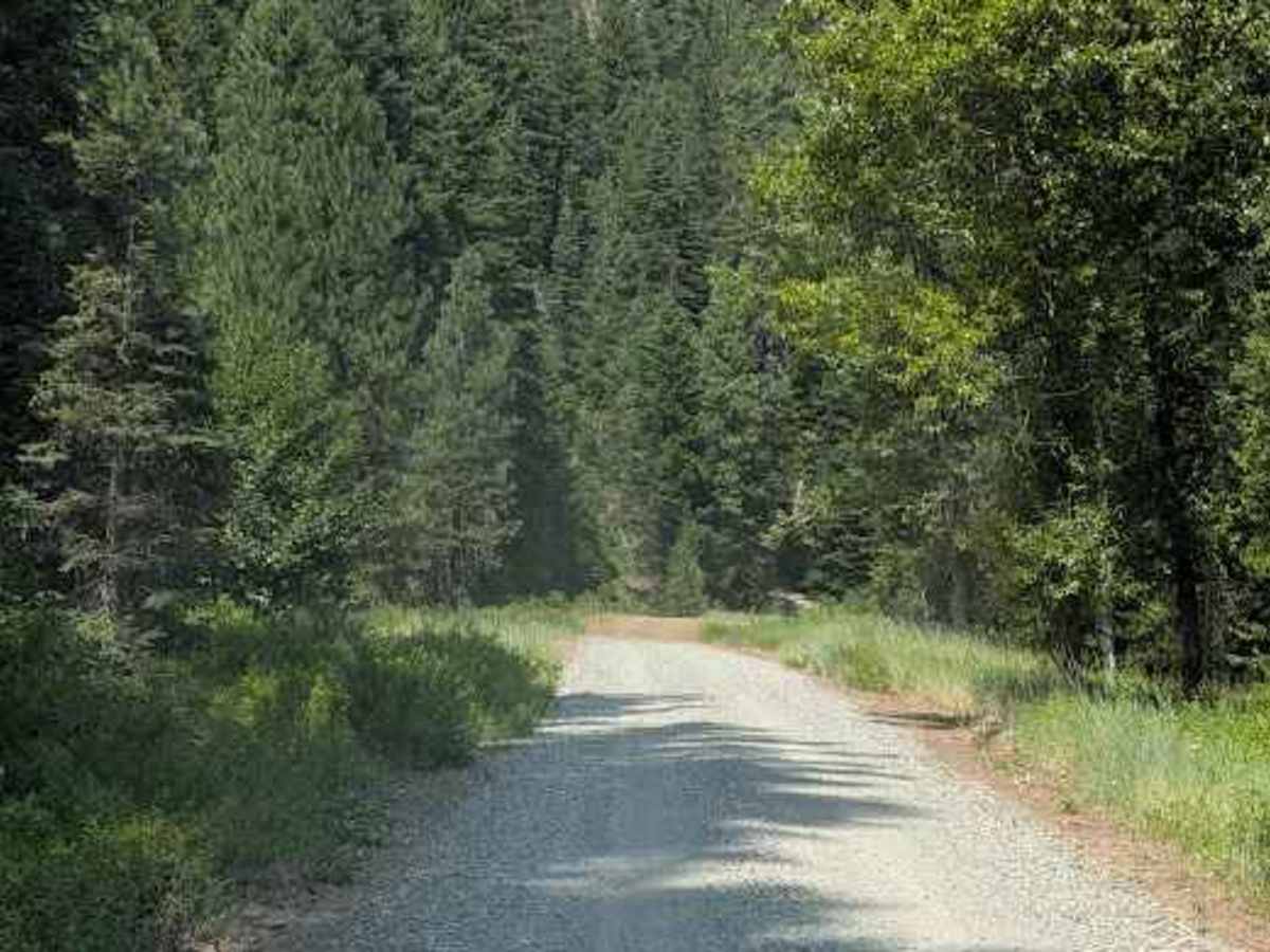 Iron Creek - FS 9714  photo 2