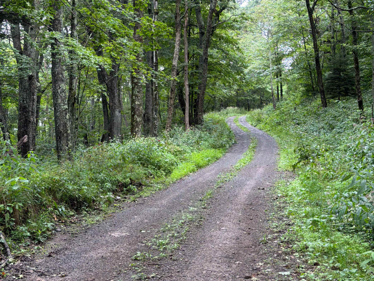Briery Run Road - CFR 29 photo 6