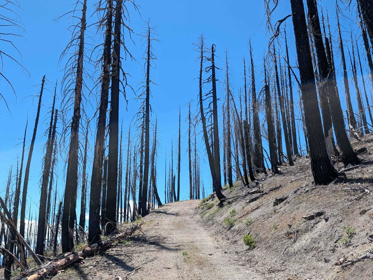 Red Cap Spur H - FS 43N08H trail photo