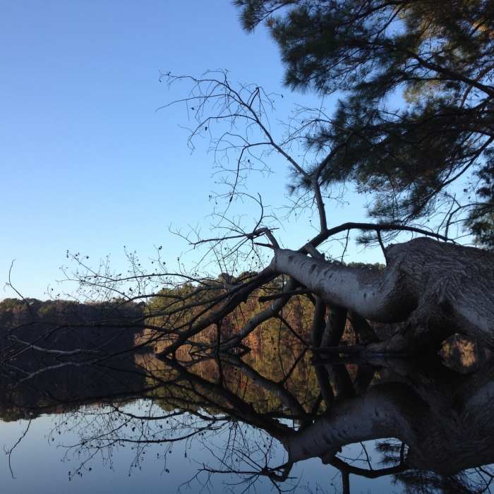 Near Walnut Creek Trail