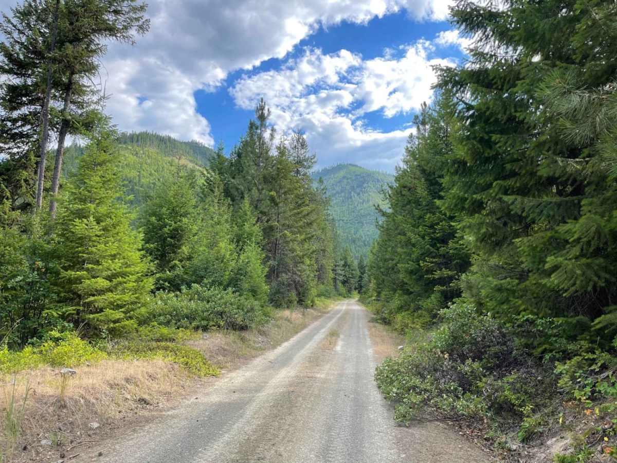 Rock Creek Tarkio trail photo