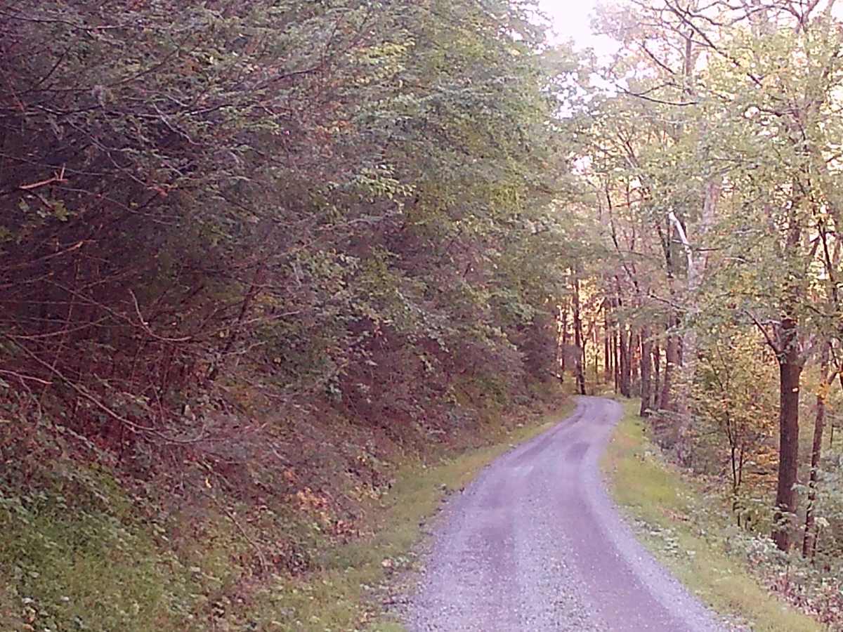 Breininger Gap Road photo 6