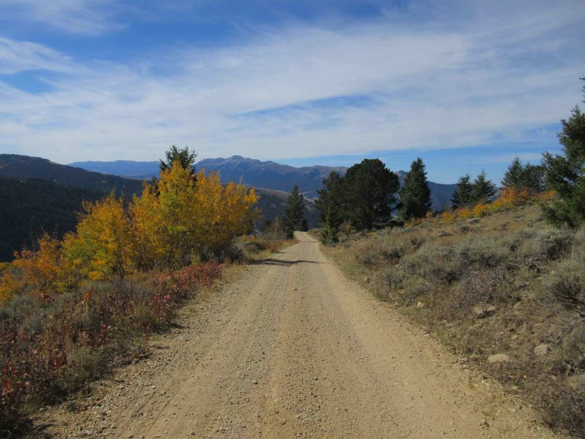 Warm Springs Creek Road (FA 163)/Cow Camp Road (FS 1234) photo 3