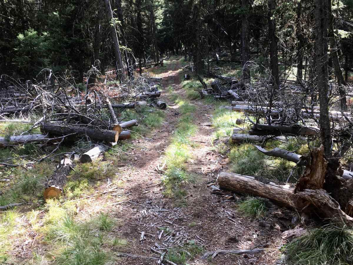Kerlee Ridge ATV photo 6