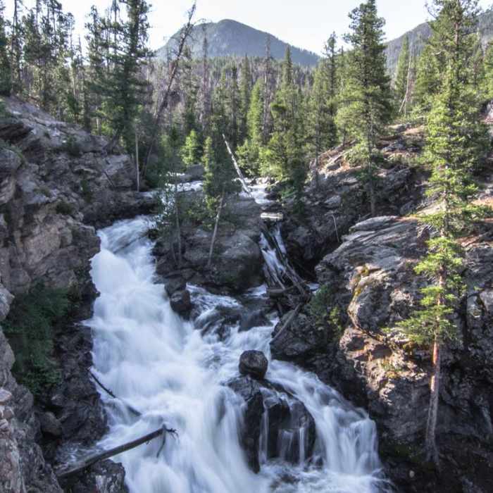 Near Adams Falls Loop