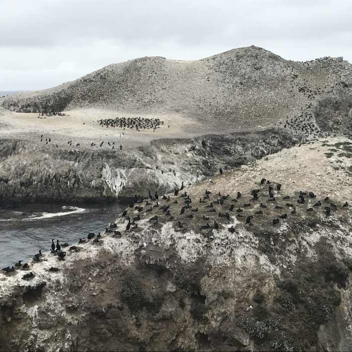 Near Bird Island Trail