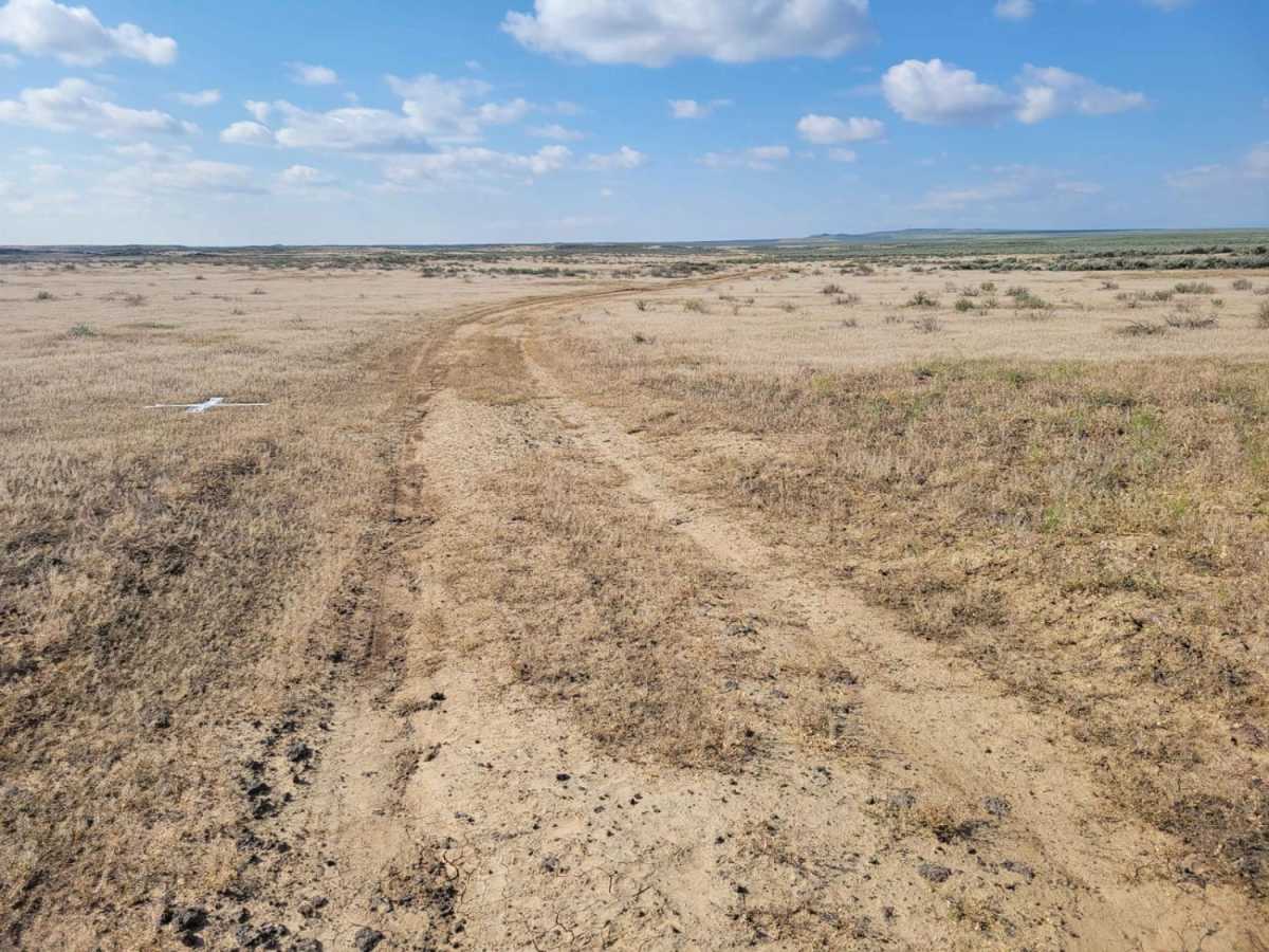 Prairie Dog Lane photo 5