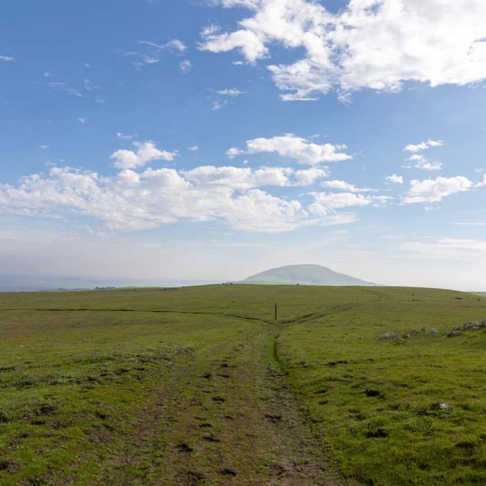 Near West Ridge Trail