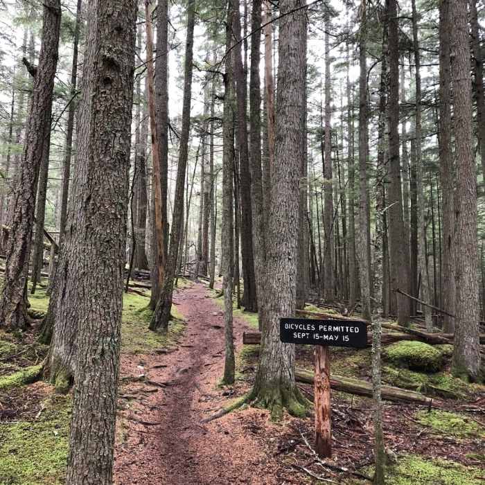 Cold Springs Trail | Hiking Trail Maps, Difficulty, Trail Status | onX