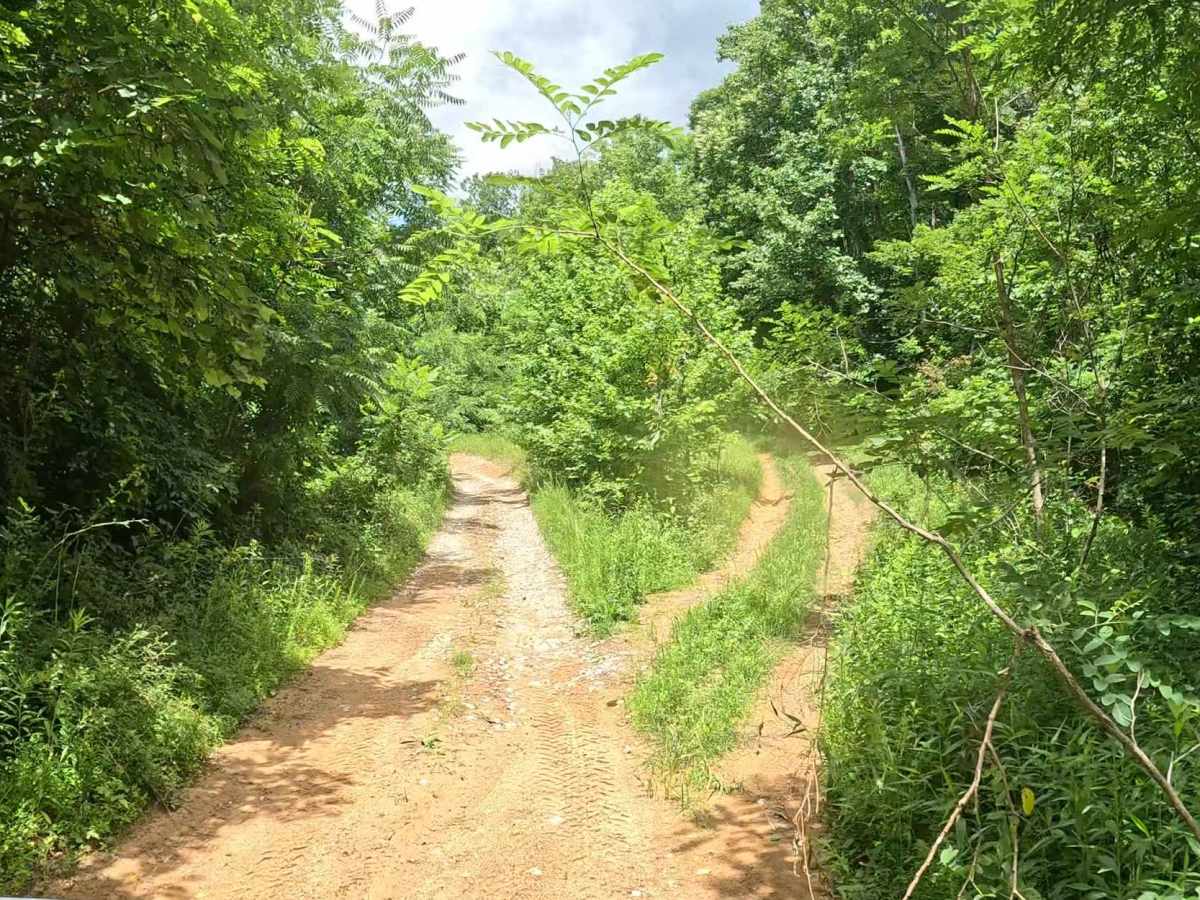 W2E trail photo