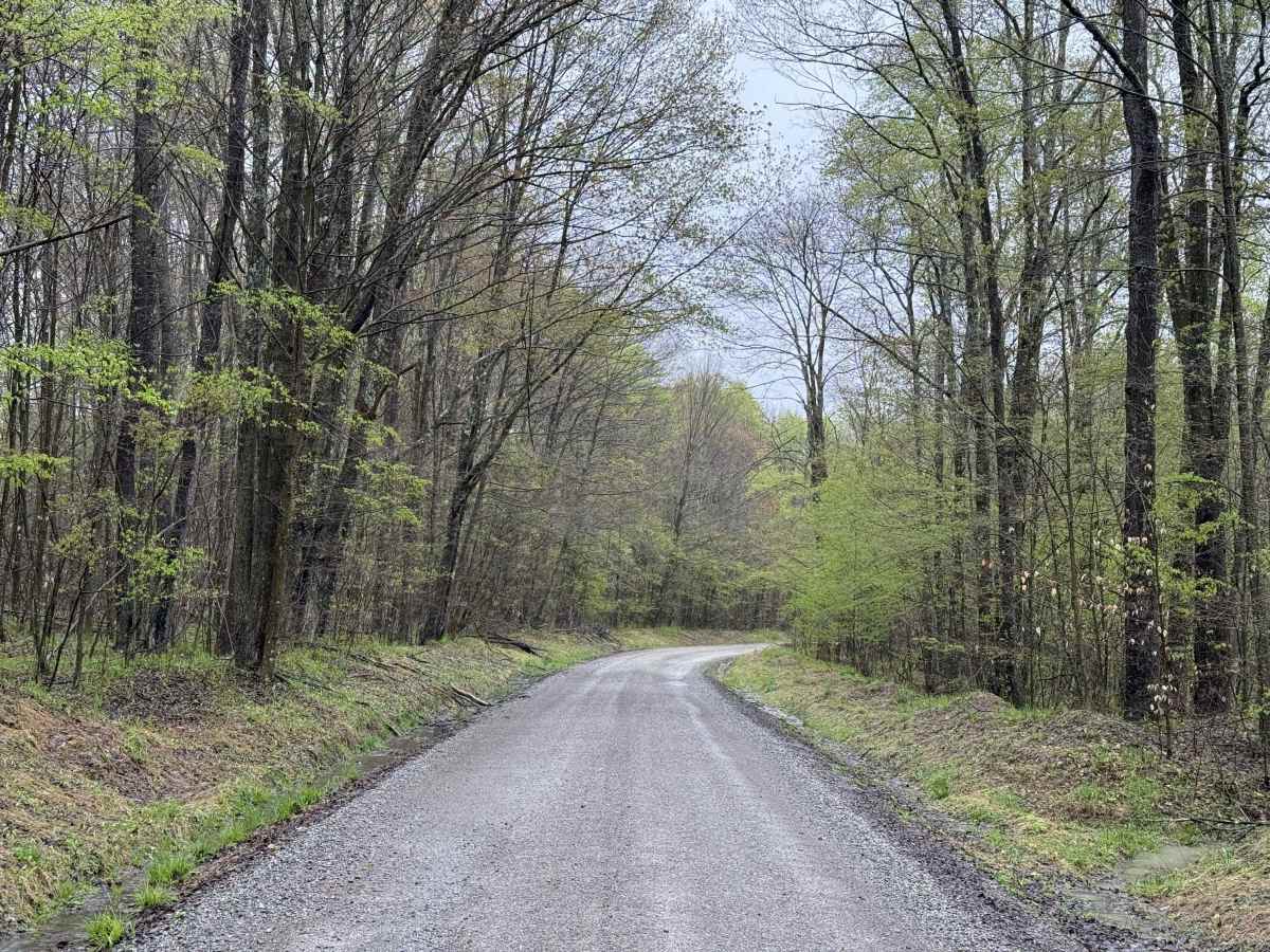 Lamonaville Road - FS 85302 photo 3