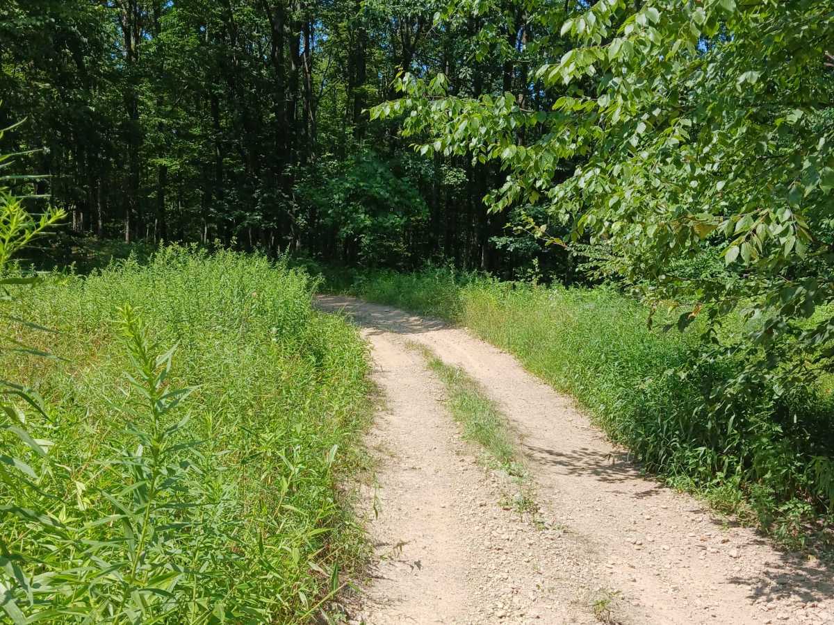 Fern Way - Rock Run Recreation Area photo 5
