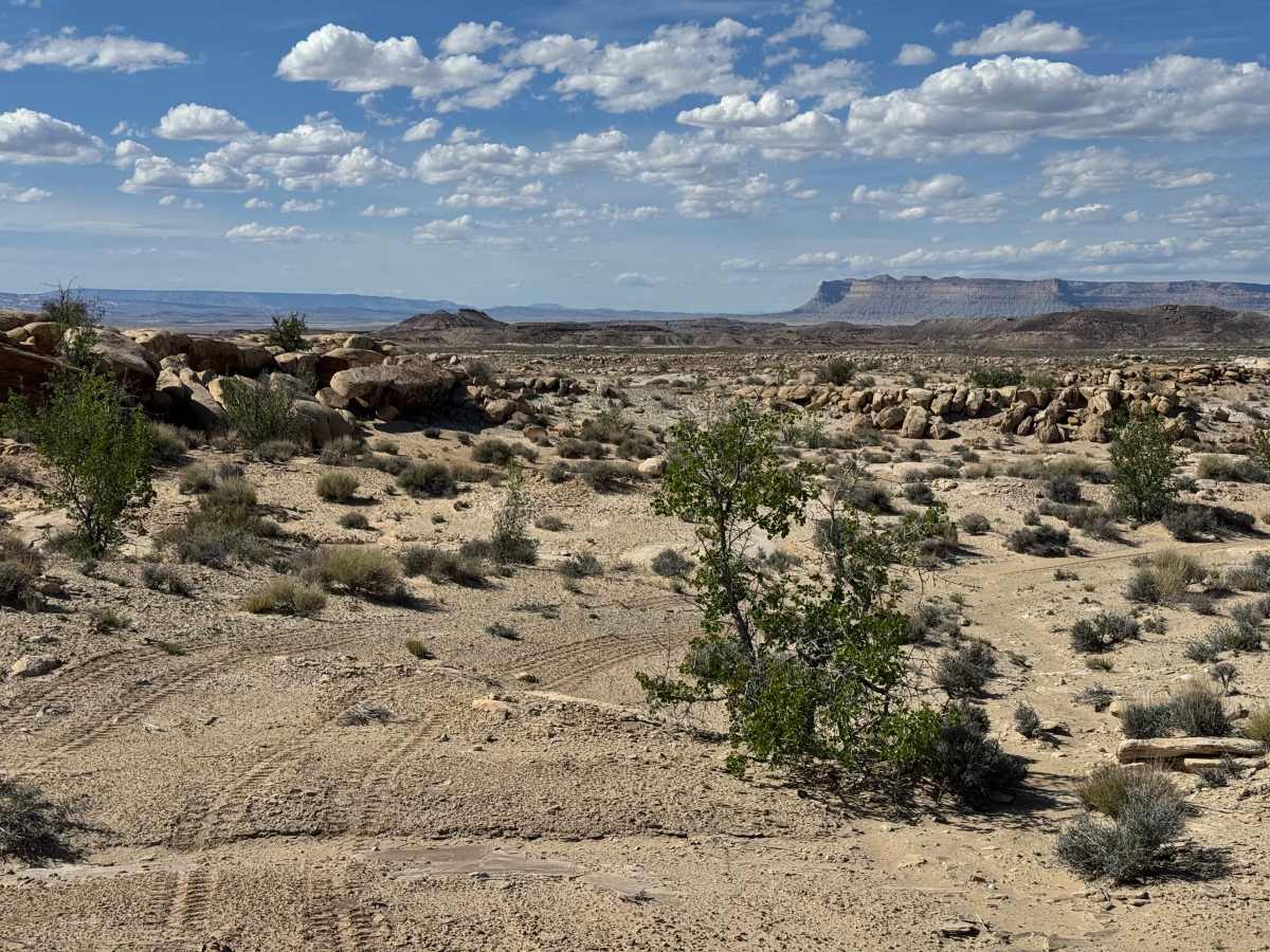Orange Trail Overlook photo 4