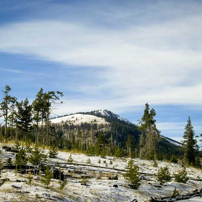 Near Bloomington Peak Hike