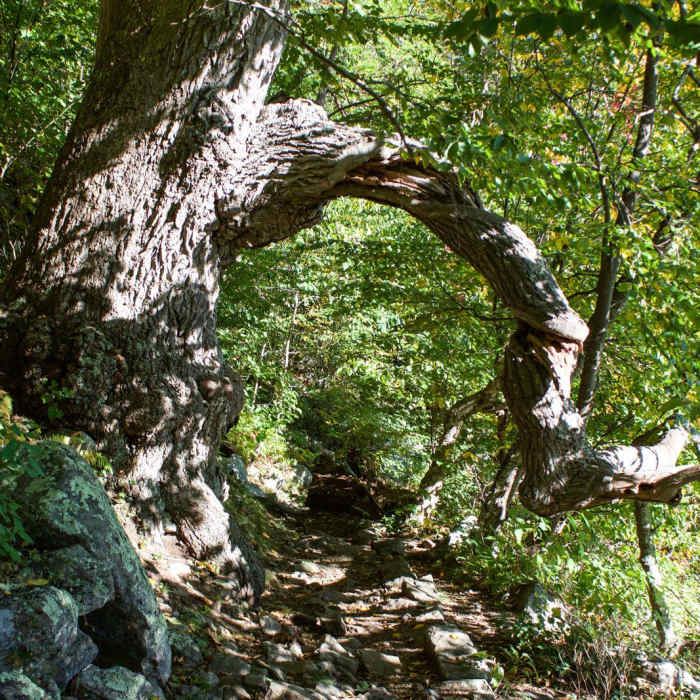 Near Mary's Rock Out-and-Back